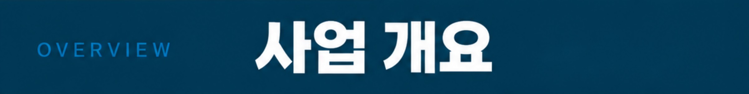 사업 개요